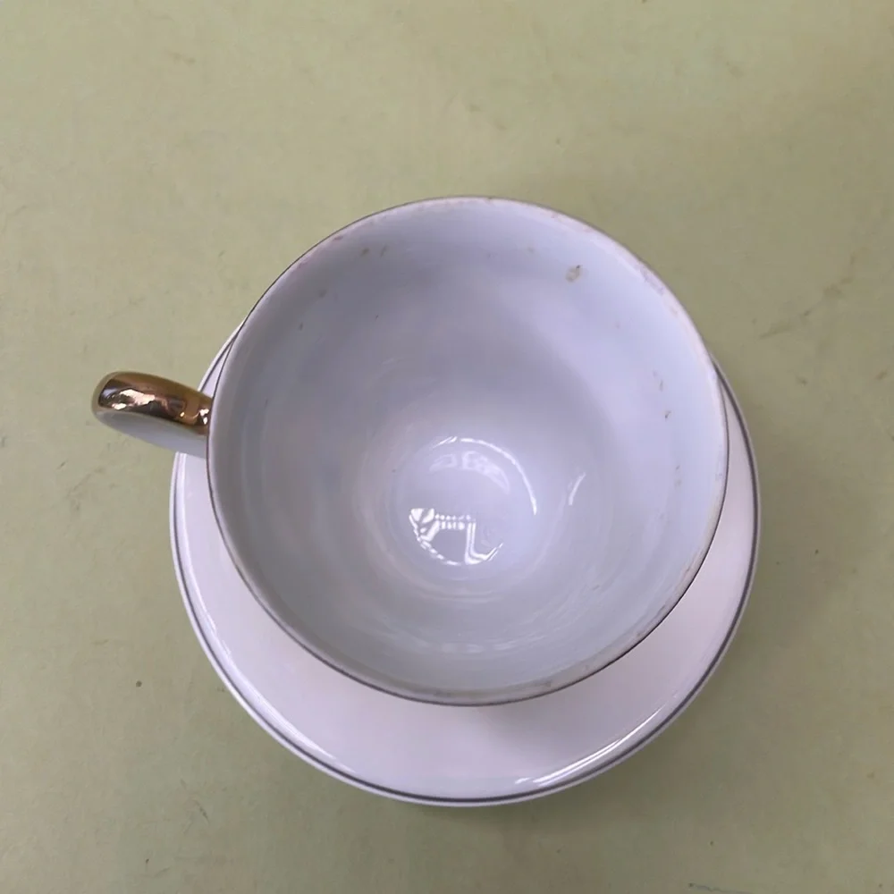 Vintage tea cup with saucer